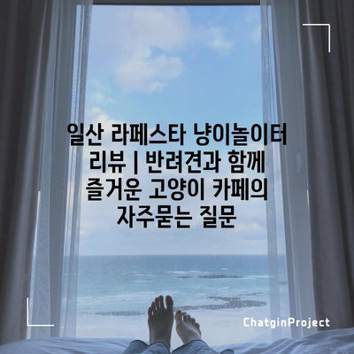 일산 라페스타 냥이놀이터 리뷰 | 반려견과 함께 즐거운 고양이 카페