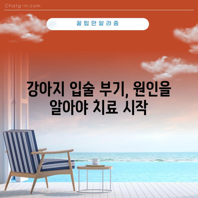 강아지 입술 부기와 상처 대처법 | 원인 파악부터 응급 처치까지