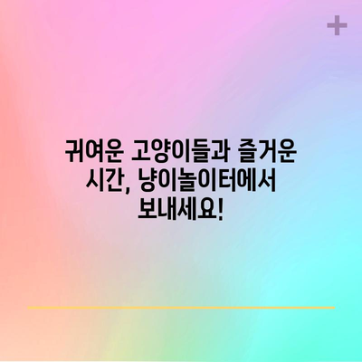 일산 라페스타 냥이놀이터 리뷰 | 반려견과 함께 즐거운 고양이 카페