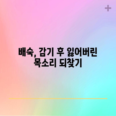 감기 후 기침 완화법 | 배숙 만들기 레시피