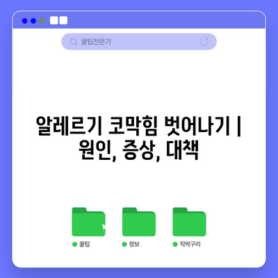 알레르기 코막힘 벗어나기 | 원인, 증상, 대책