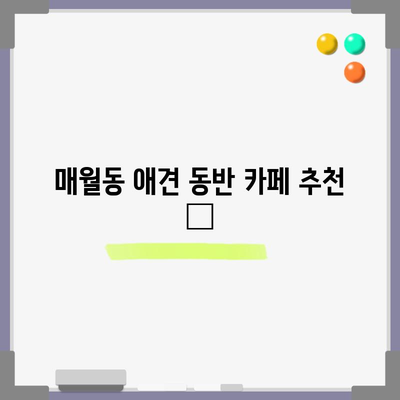 광주 애견과 함께 | 매월동 인기 애견 동반 카페 5곳