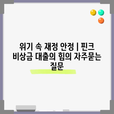 위기 속 재정 안정 | 핀크 비상금 대출의 힘