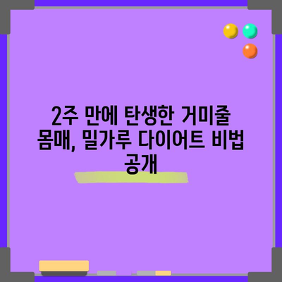 밀가루 다이어트 2주 성공기 | 거미줄 몸매 만드는 비법