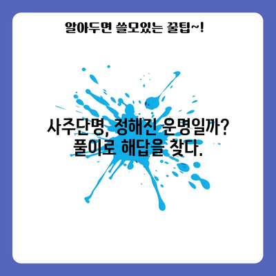 사주단명 | 운명은 정해진 것일까? 풀이로 해소하세요