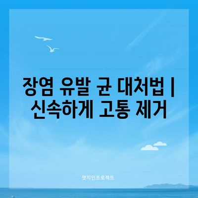 장염 유발 균 대처법 | 신속하게 고통 제거