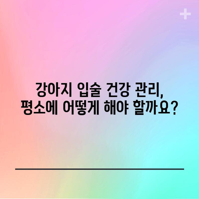 강아지 입술 부기와 상처 대처법 | 원인 파악부터 응급 처치까지