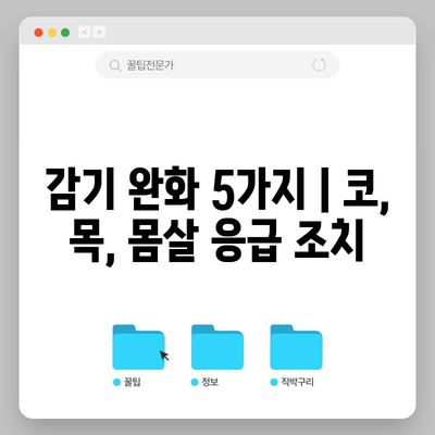 감기 완화 5가지 | 코, 목, 몸살 응급 조치