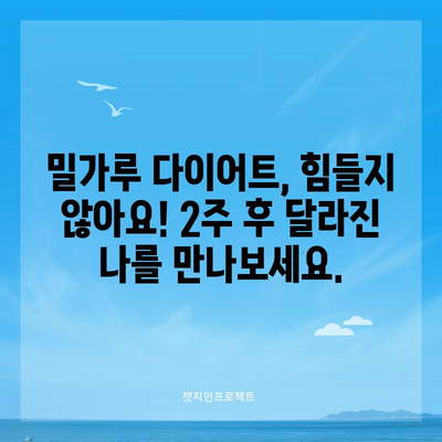 밀가루 다이어트 2주 성공기 | 거미줄 몸매 만드는 비법