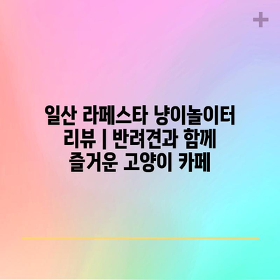 일산 라페스타 냥이놀이터 리뷰 | 반려견과 함께 즐거운 고양이 카페