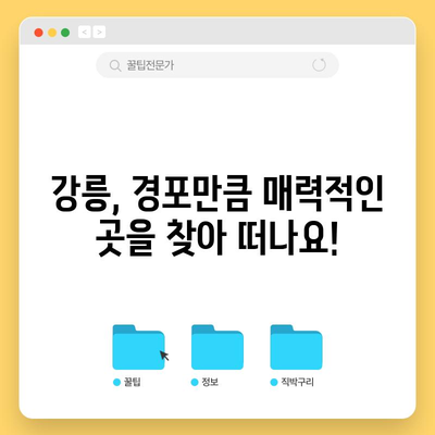 강릉 여행 완벽 가이드 | 경포해수욕장을 넘어서