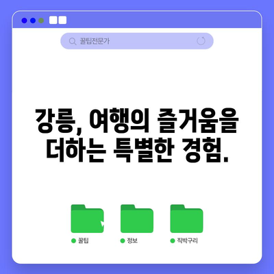 강릉 여행 완벽 가이드 | 경포해수욕장을 넘어서