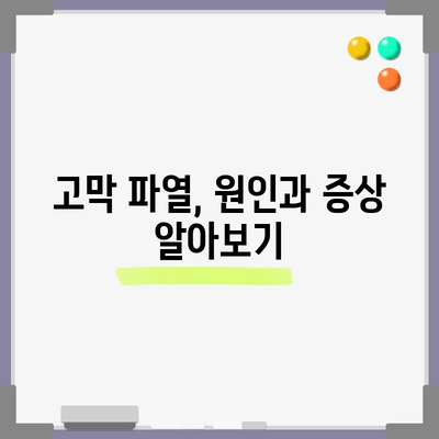 고막 파열 | 치료법과 예방 조치