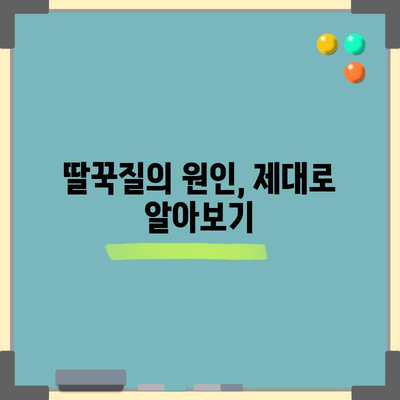 신생아 딸꾹질 상식 | 원인, 대처법