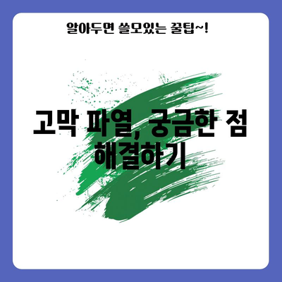 고막 파열 | 치료법과 예방 조치