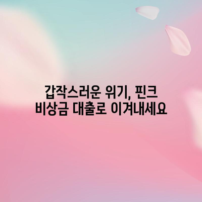 위기 속 재정 안정 | 핀크 비상금 대출의 힘