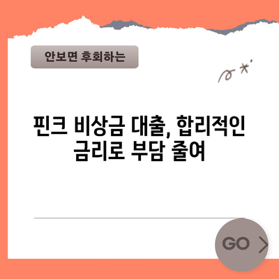 위기 속 재정 안정 | 핀크 비상금 대출의 힘