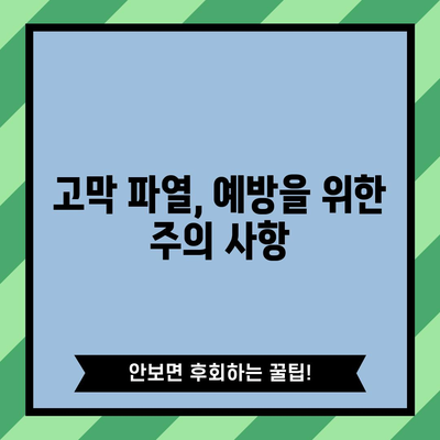 고막 파열 | 치료법과 예방 조치