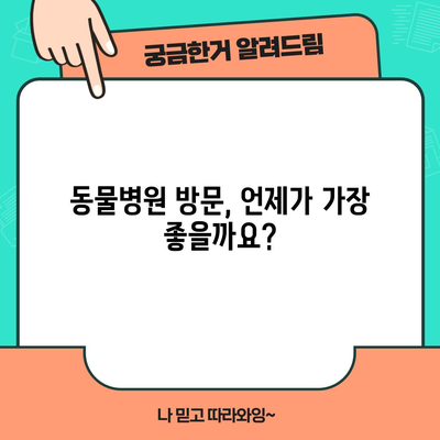 강아지 입술 부기와 상처 대처법 | 원인 파악부터 응급 처치까지