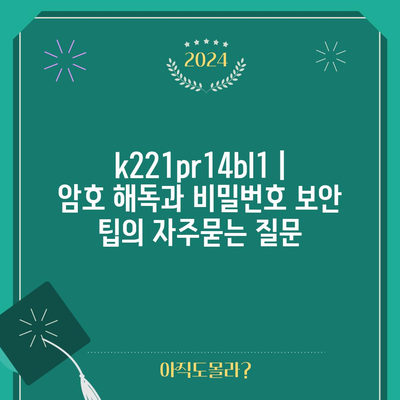 k221pr14bl1 | 암호 해독과 비밀번호 보안 팁