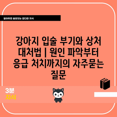 강아지 입술 부기와 상처 대처법 | 원인 파악부터 응급 처치까지