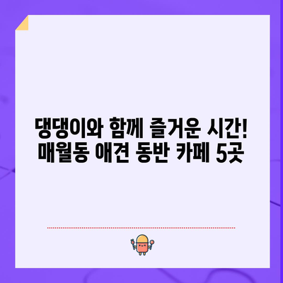 광주 애견과 함께 | 매월동 인기 애견 동반 카페 5곳