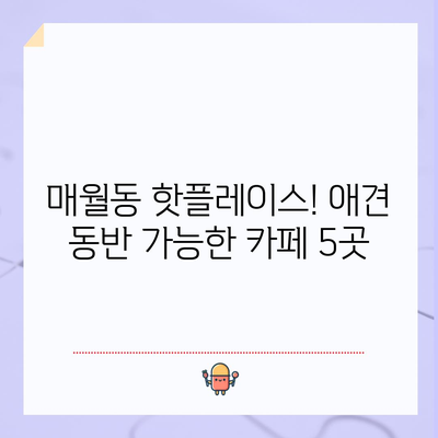 광주 애견과 함께 | 매월동 인기 애견 동반 카페 5곳