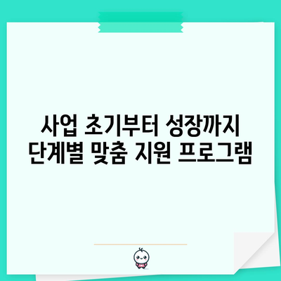 중소기업 정책 자금 지원 프로그램 사례 모음