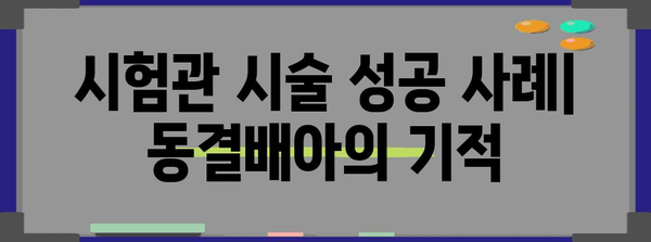 시험관 동결배아 이식 | 희망을 키우는 임신 성공 사례