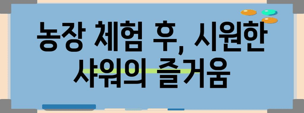 주말 농장 샤워로 피로 날리기 | 에너지 충전 꿀팁