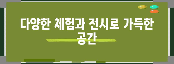 부산 최고의 실내 놀이공간 | 부산영화체험박물관