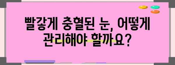 눈 혈관 터짐 | 치료 필요성 파악과 자가 관리 가이드