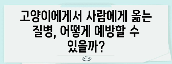 고양이에서 사람에게 옮는 질병| 주의해야 할 7가지 질병과 예방법 | 고양이 질병, 동물 감염, 건강 관리, 반려동물