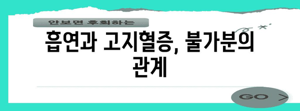 고지혈증 위험 증가 원인 분석 | 부족한 신체활동과 5가지 위험 습관