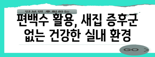 새집 증후군 대처법 | 편백수로 공기 정화와 편안한 실내 조성