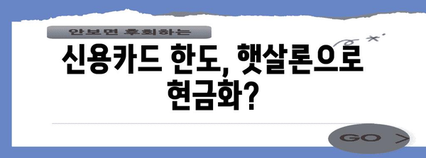 햇살 론 신용카드 현금화 비법 공개