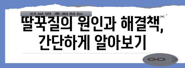 신생아 딸꾹질 해결책 | 간단한 방법 소개