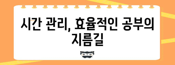 수능 감잡기| 나에게 맞는 공부 전략 찾기 | 수능, 학습 전략, 공부법, 시간 관리, 목표 설정