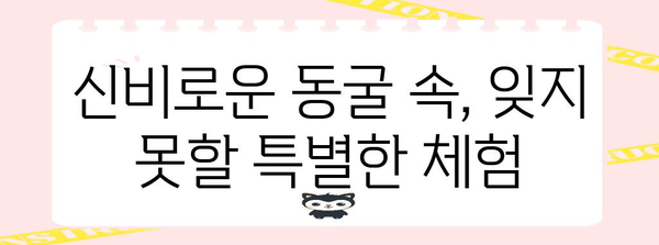 충주 활옥동굴 체험| 힐링과 건강, 그리고 즐거움을 한 곳에서 | 충주 가볼만한 곳, 동굴 체험, 건강 효과, 가족 여행, 데이트