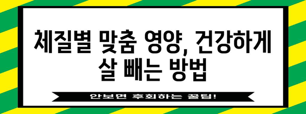 체질별 맞춤 다이어트 식단 가이드 | 효과적인 체중 관리