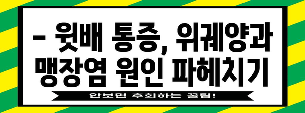 위궤양과 맹장염 | 윗배 통증의 원인 파악