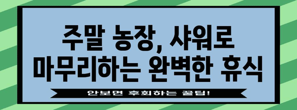 주말 농장 샤워로 피로 날리기 | 에너지 충전 꿀팁