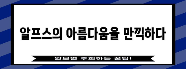 오스트리아 여행 완벽 가이드| 기본 정보부터 꿀팁까지 | 오스트리아, 여행, 정보, 팁, 가이드, 유럽