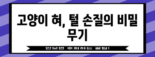 고양이 혀의 신기한 역할, 뒷골이 통증의 원인 찾기