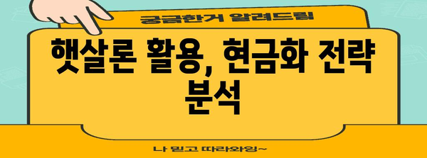 햇살 론 신용카드 현금화 비법 공개