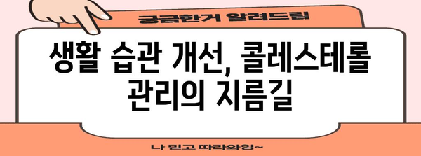 콜레스테롤 감소 원칙 | 명확하고 간결한 가이드