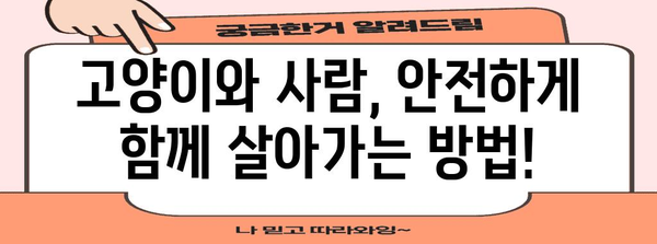 고양이에서 사람에게 옮는 질병| 주의해야 할 7가지 질병과 예방법 | 고양이 질병, 동물 감염, 건강 관리, 반려동물