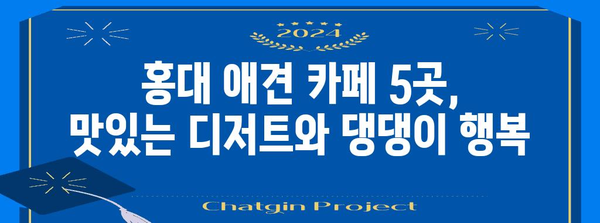 푸들과 디저트 탐험 | 홍대 애견 카페 베스트 5