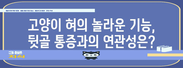 고양이 혀의 신기한 역할, 뒷골이 통증의 원인 찾기