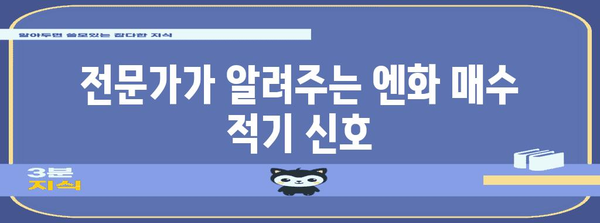 엔화 매수 타이밍의 전략적 노하우